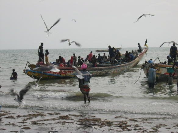 Fischerei an der Küste (c) Atamari
